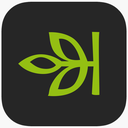 ancestry app logo.png